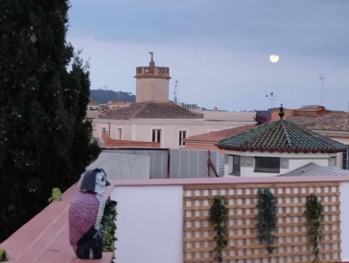 Apartaments L'Arc Palafrugell Esterno foto